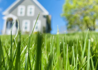 lawn care franchise