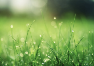 lawn care franchise owner works with francoach to find the ideal franchise