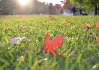 lawn care franchise owner works with francoach
